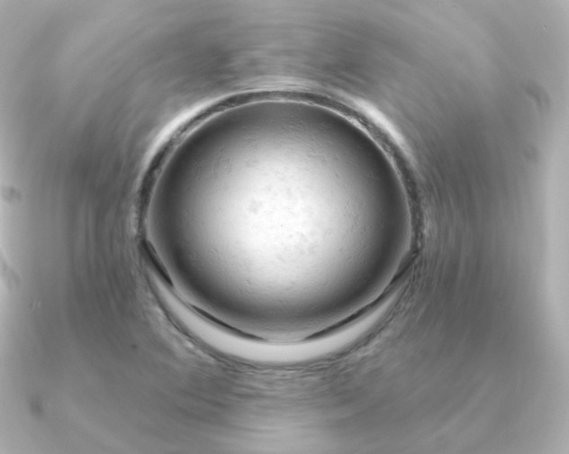 X0000090891364200708101355