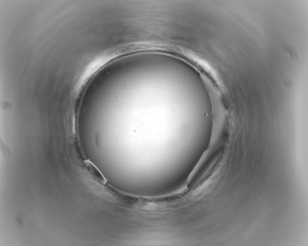 X0000090891365200708101355