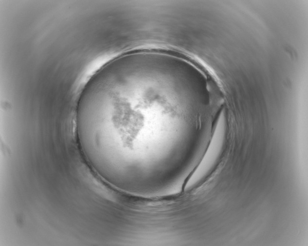 X0000090891367200708101355