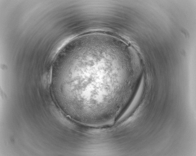 X0000090891369200708101355