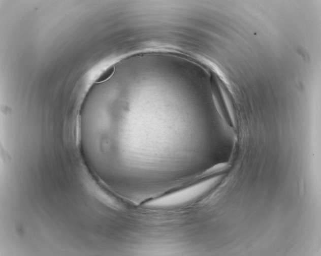 X0000090891371200708101355