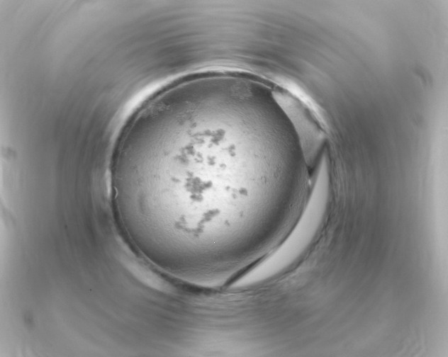 X0000090891372200708101355