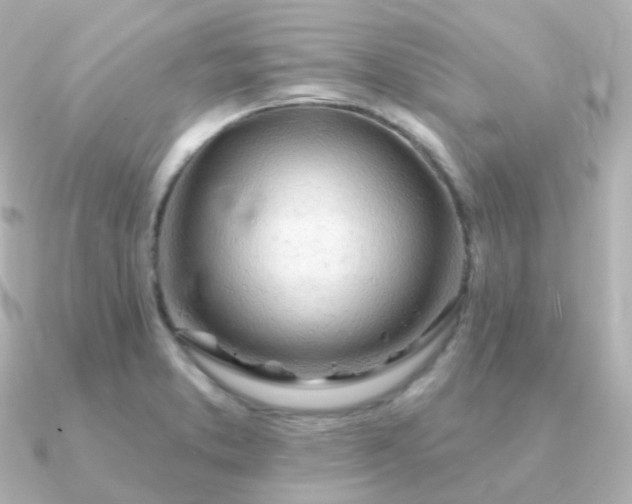 X0000090891373200708101355