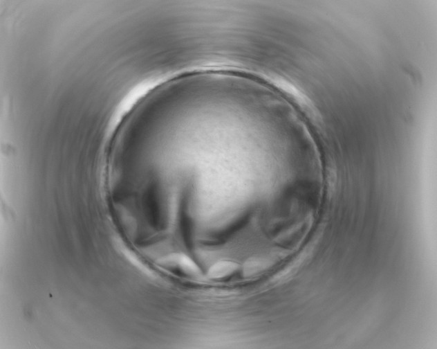 X0000090891374200708101355