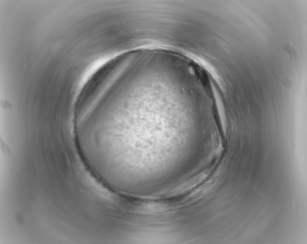 X0000090891375200708101355