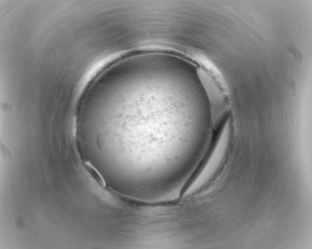 X0000090891376200708101355