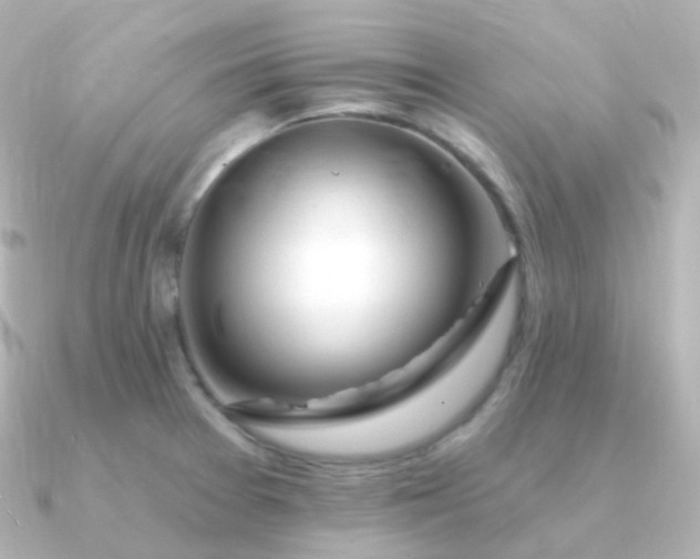 X0000090891377200708101355