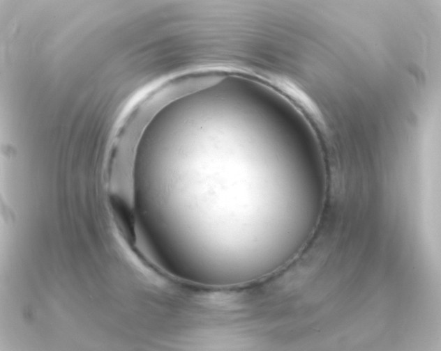 X0000090891380200708101355