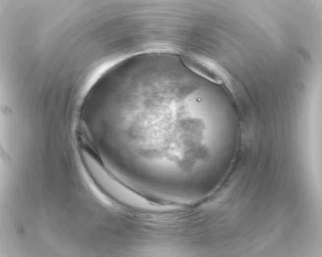 X0000090891383200708101354