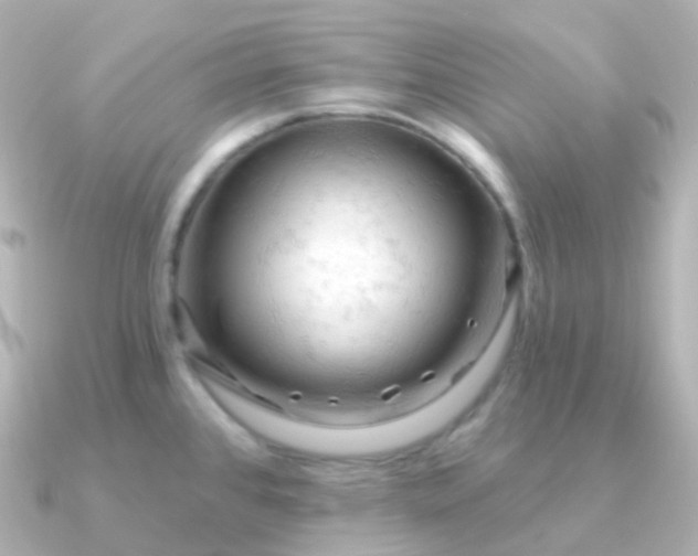 X0000090891384200708101354