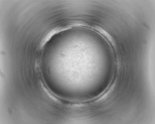 X0000090891385200708101354