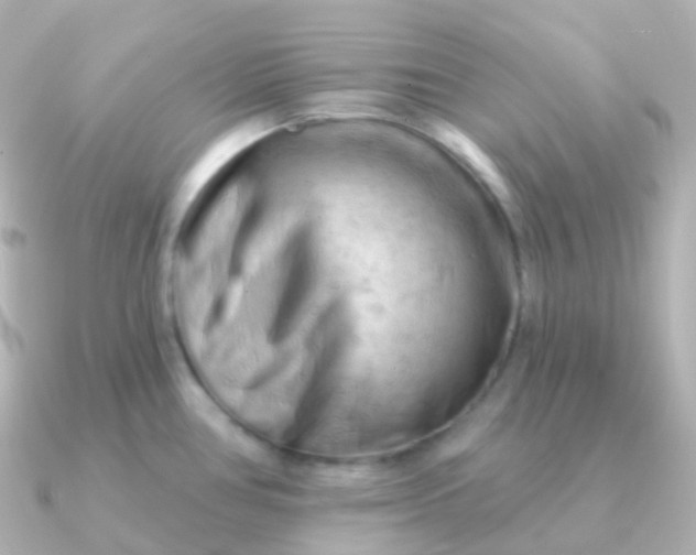 X0000090891386200708101354