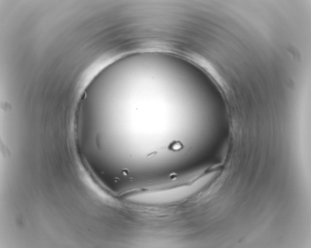 X0000090891387200708101354