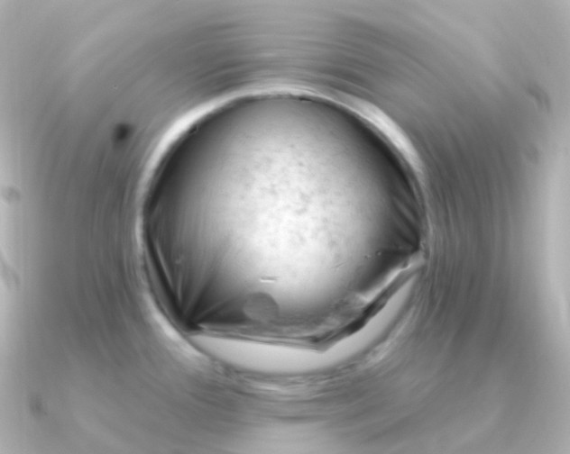 X0000090891388200708101354