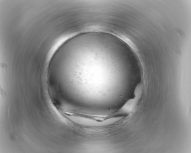 X0000090891392200708101354