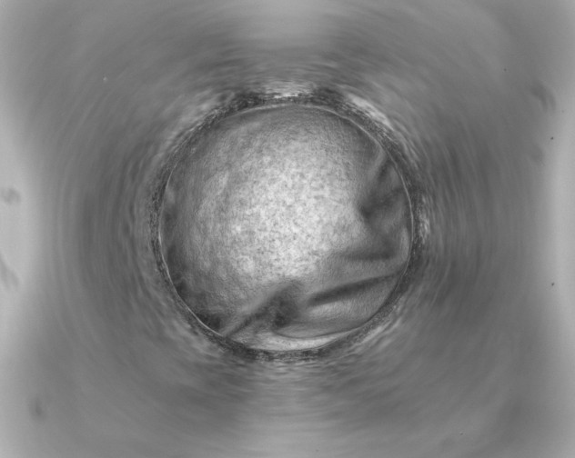 X0000090891393200708101354