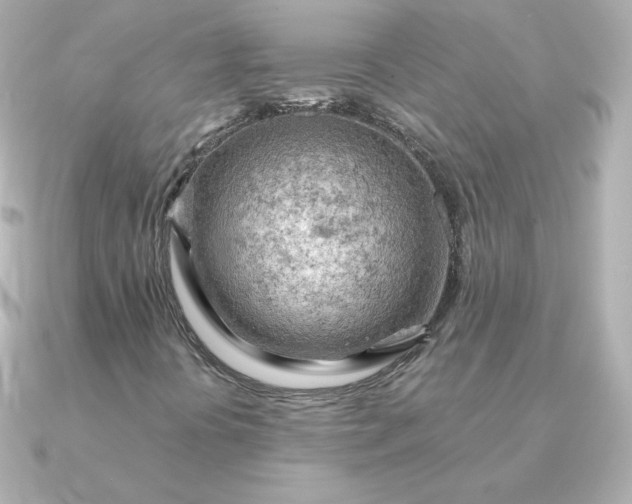 X0000090891394200708101354