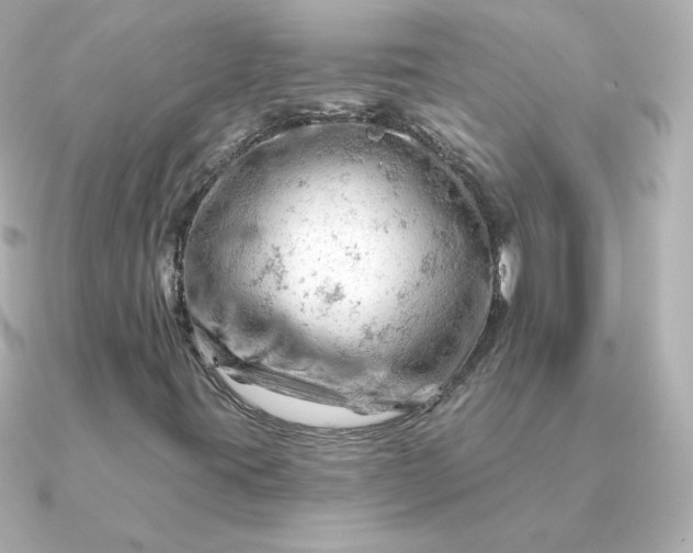 X0000090891395200708101354