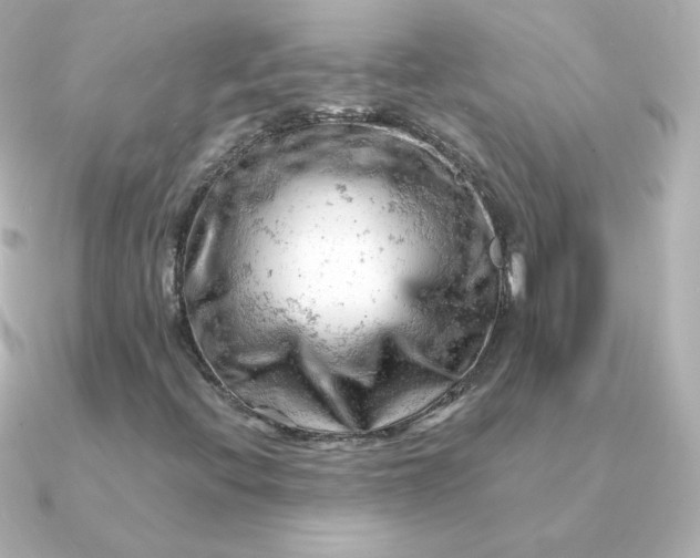 X0000090891396200708101354