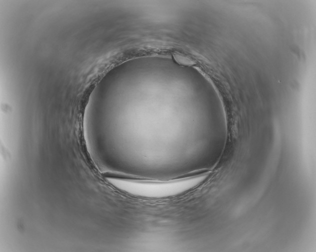 X0000090891397200708101354