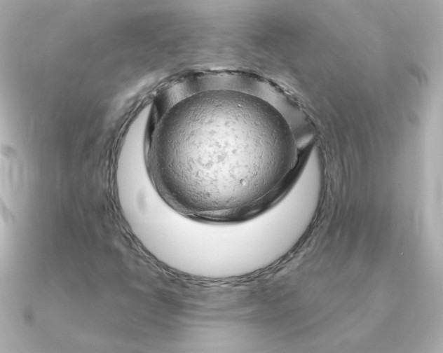 X0000090891398200708101354