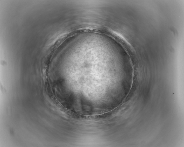 X0000090891399200708101354