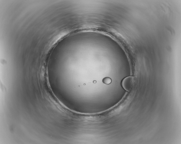 X0000090891401200708101354