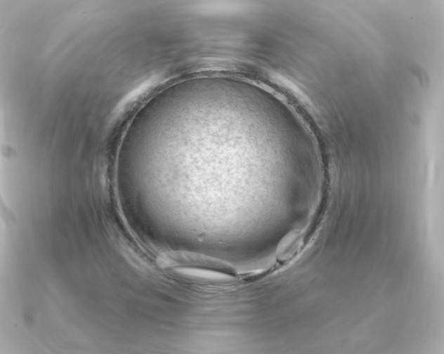 X0000090891403200708101354