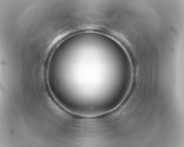 X0000090891404200708101354