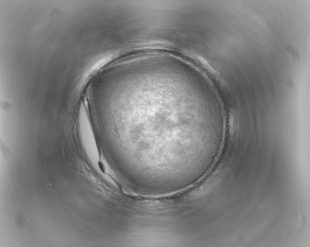 X0000090891405200708101354