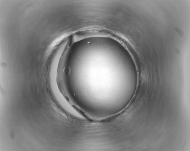 X0000090891406200708101354