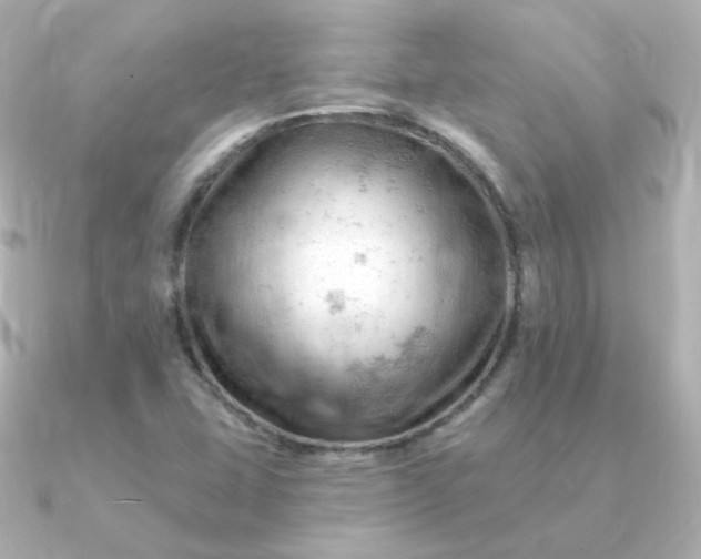 X0000090891407200708101354