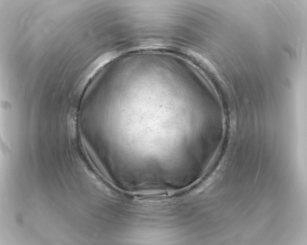 X0000090891409200708101354