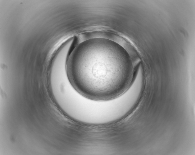 X0000090891410200708101354