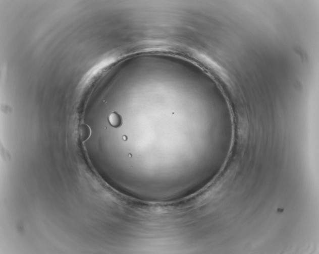 X0000090891411200708101354