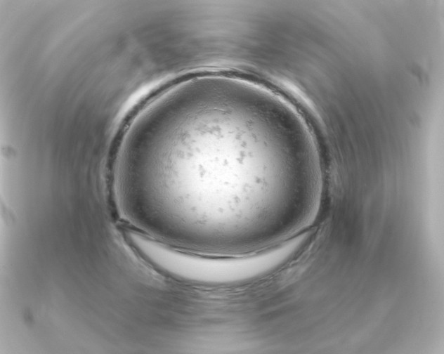 X0000090891412200708101354