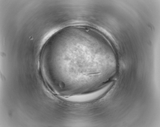 X0000090891413200708101354