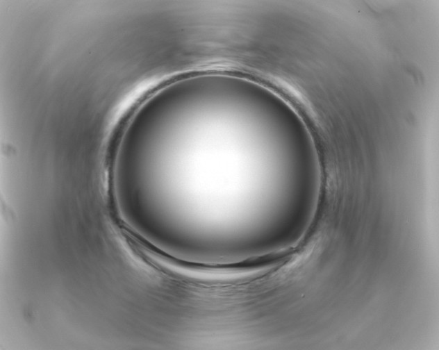 X0000090891414200708101354