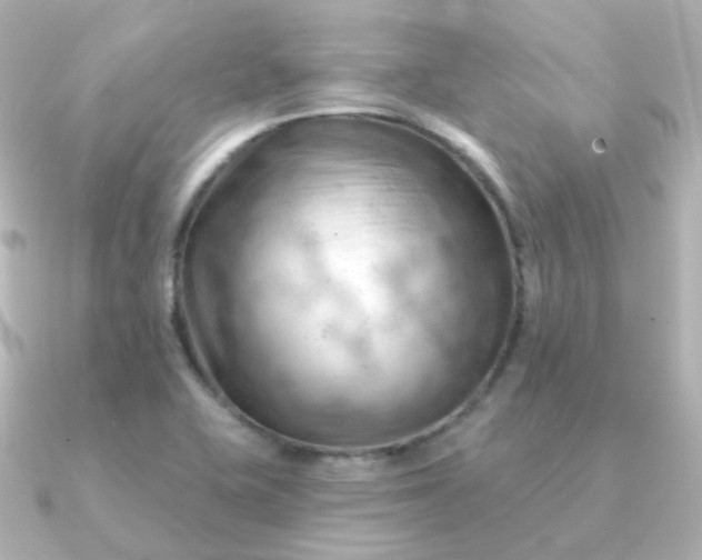 X0000090891415200708101354