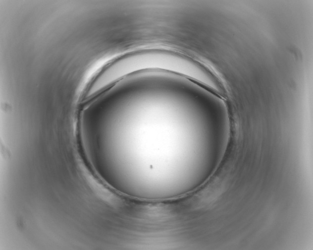 X0000090891416200708101354