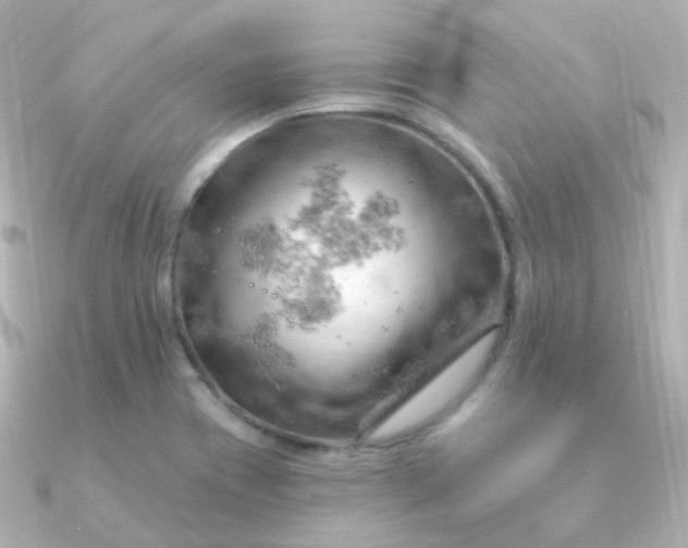 X0000090891417200708101354