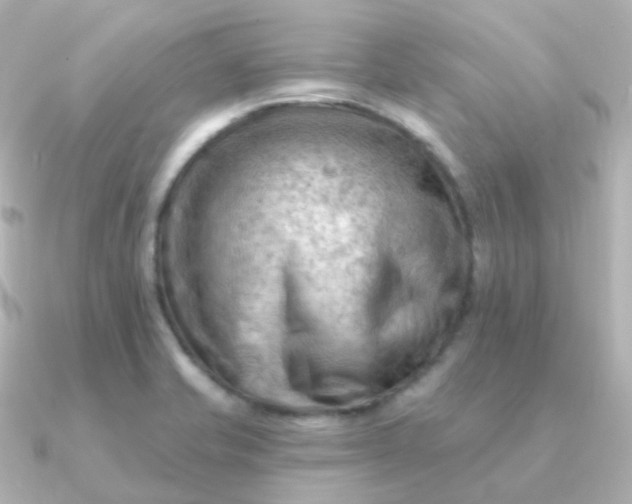 X0000090891421200708101354