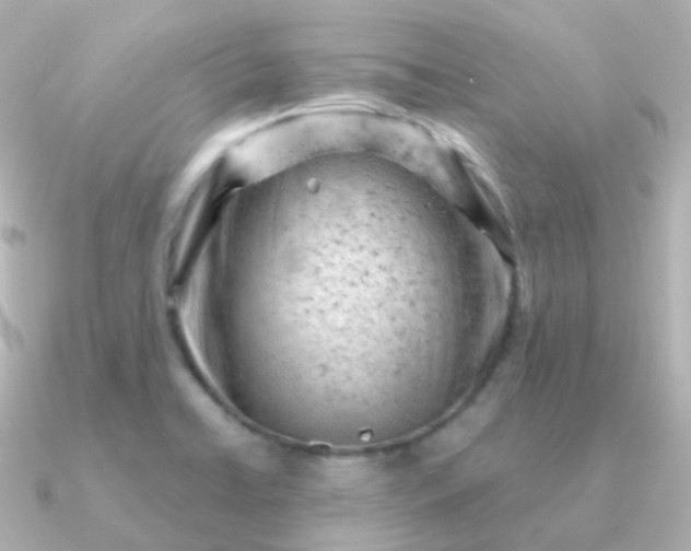 X0000090891422200708101354