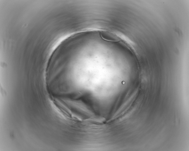 X0000090891423200708101354