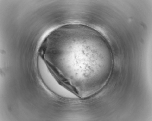 X0000090891424200708101354