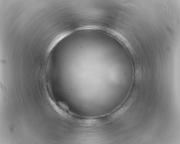 X0000090891425200708101354