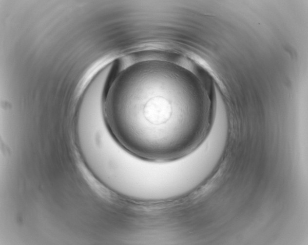 X0000090891426200708101354