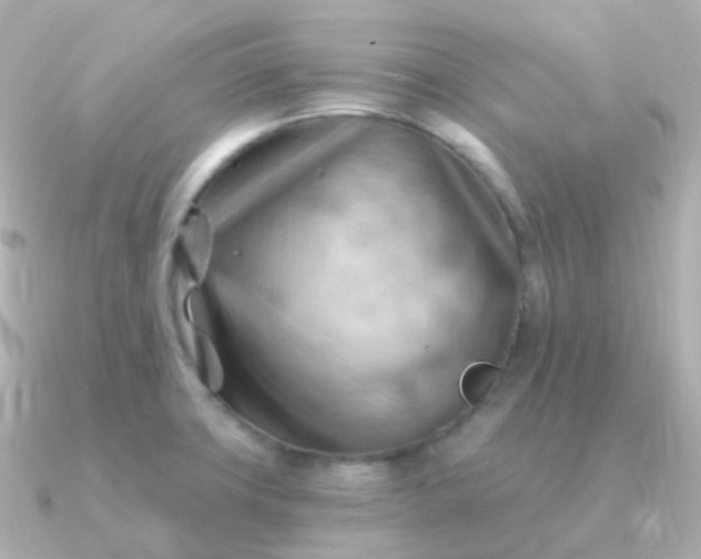 X0000090891427200708101354