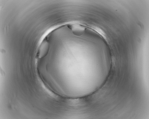 X0000090891428200708101354