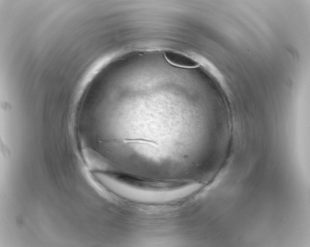 X0000090891429200708101354